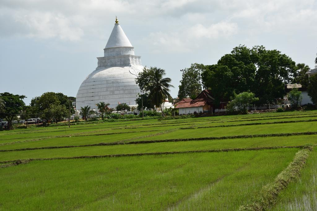 K Holiday Tissamaharama Exterior photo